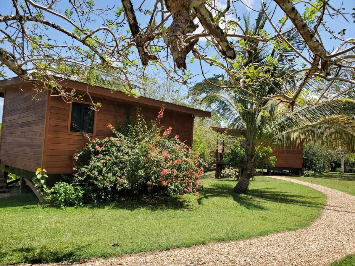 Yumas Riverfront Lodge San Ignacio Ngoại thất bức ảnh