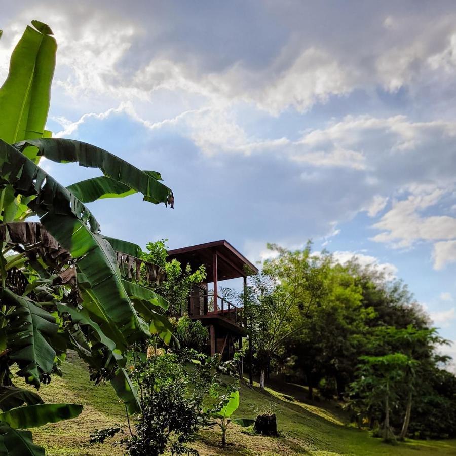 Yumas Riverfront Lodge San Ignacio Ngoại thất bức ảnh