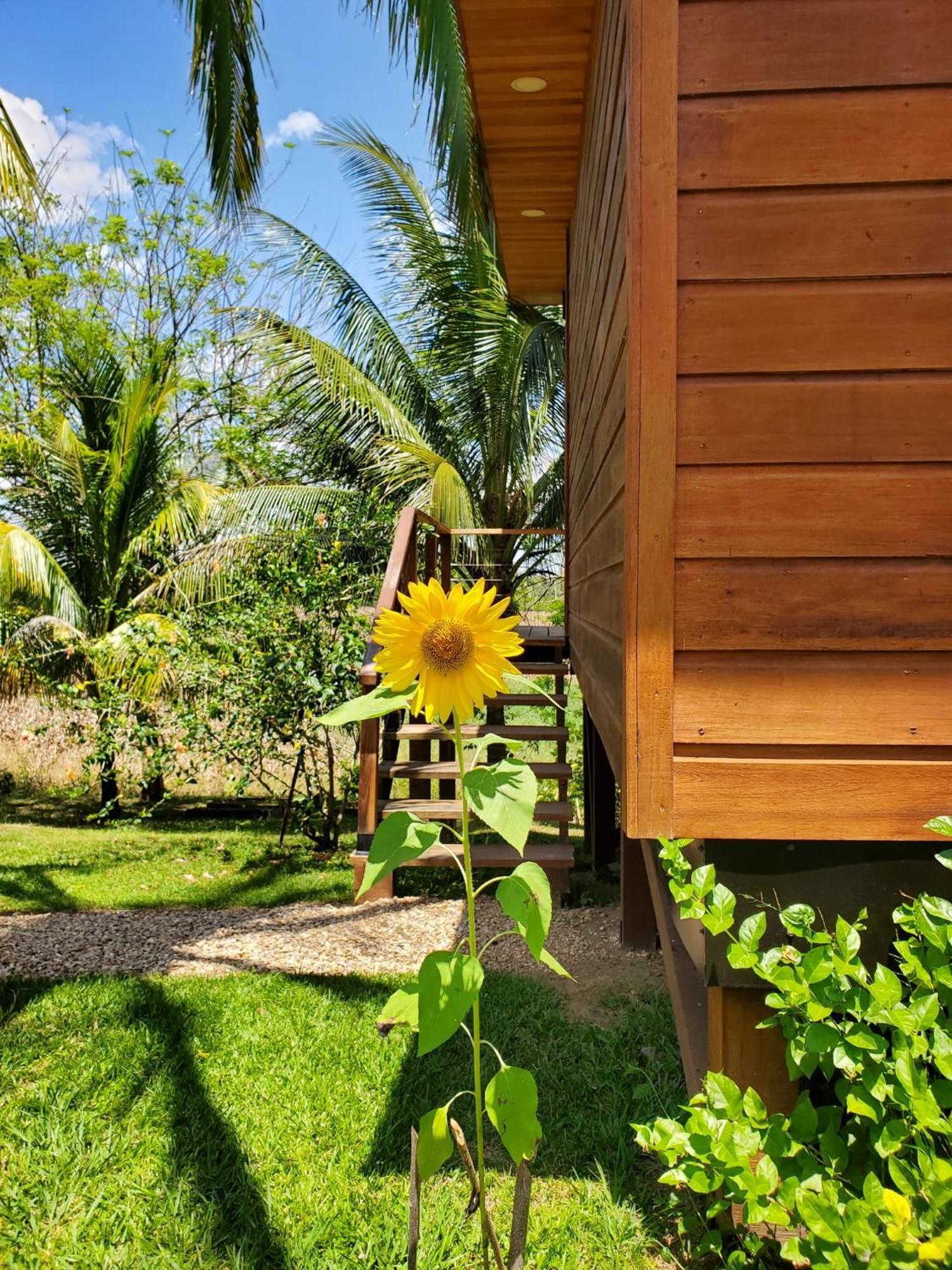 Yumas Riverfront Lodge San Ignacio Ngoại thất bức ảnh