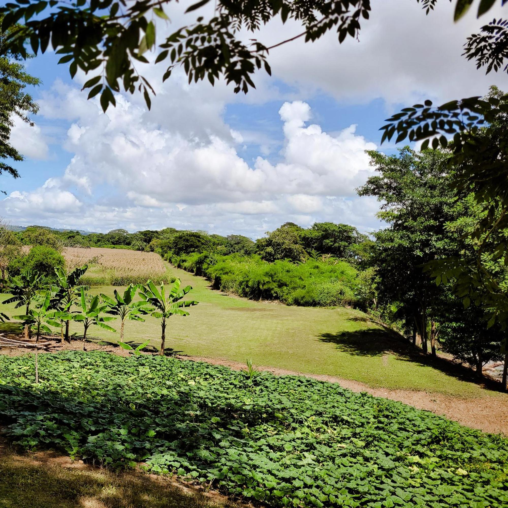Yumas Riverfront Lodge San Ignacio Ngoại thất bức ảnh