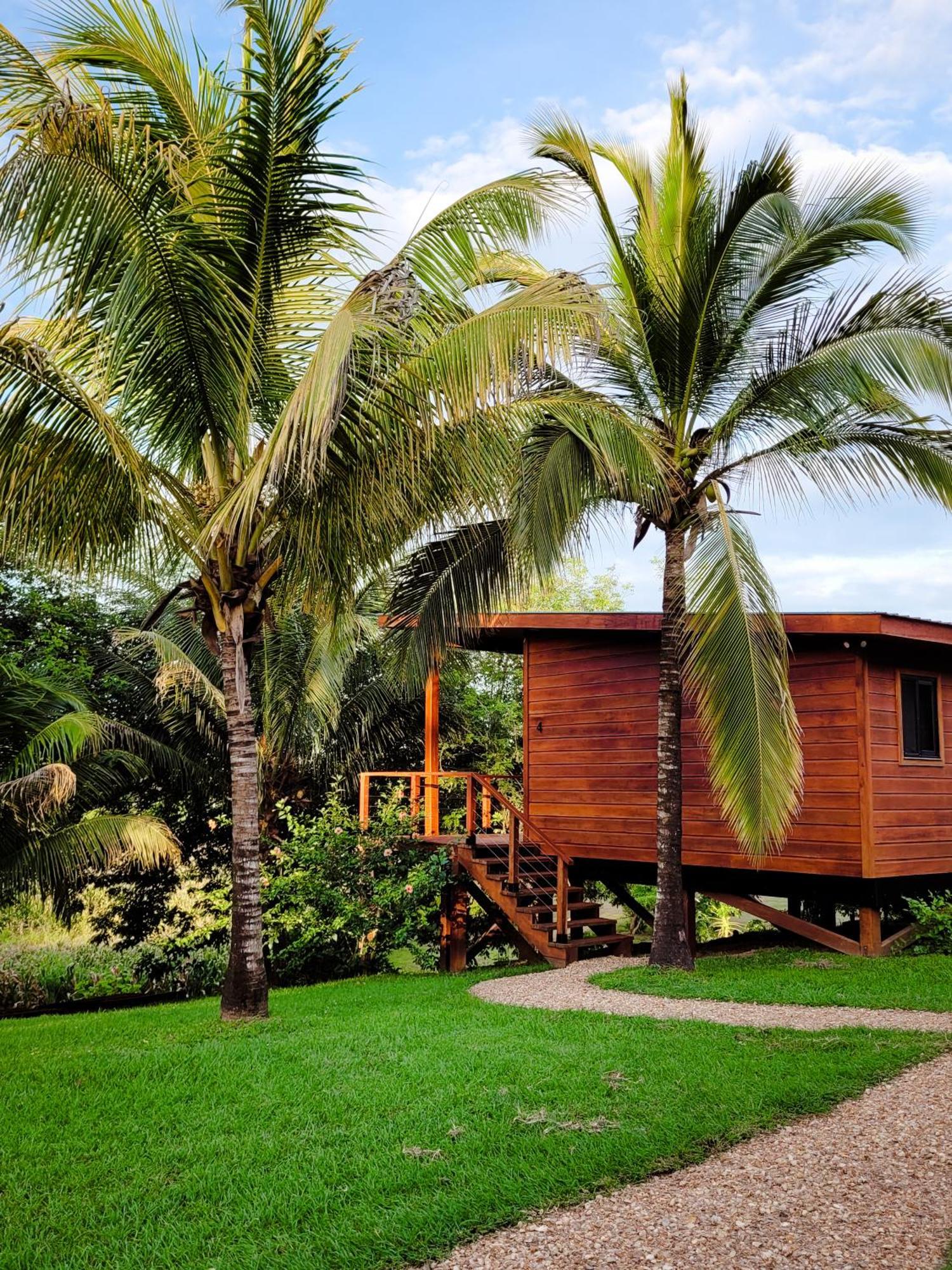Yumas Riverfront Lodge San Ignacio Ngoại thất bức ảnh